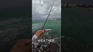 DAY 6 fishing journey