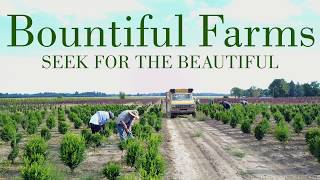 Bountiful Farms 2018