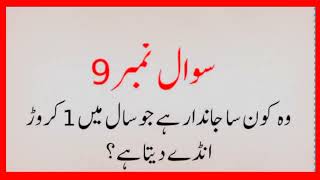 General Knowledge Question And Answer | General knowledge Urdu