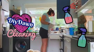 Kitchen cleaning | DiyDawn