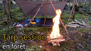 Tard session en forêt