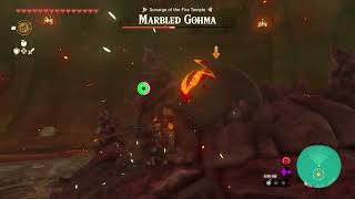 The Legend of Zelda: Tears of the Kingdom Boss 15 - Marbled Gohma