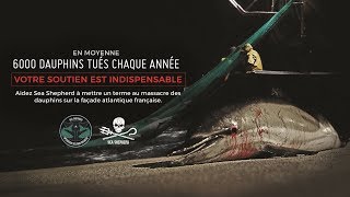 Opération Dolphin ByCatch 2019 | Ce n'est que le début !