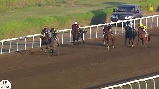 Jebel Ali 021124 Race 7