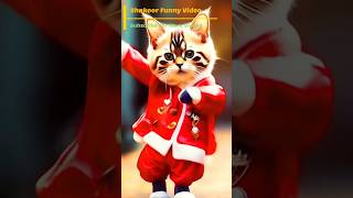 cute cat funny dance 😂 patali kamariya mori hay😍😂 #cat #funny #dance #youtubeshorts