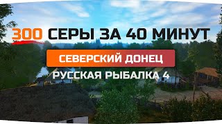 ФАРМ СЕРЕБРА на ТАРАНИ ● Северский Донец ● Русская Рыбалка 4