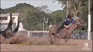 Hoje Tem Vaquejada - VBZINHO (Clip Oficial)