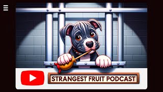 Water Balloon Fights in Hunters Point 🪣 Prezi and Ski EXCLUSIVE Strangest Fruit Podcast