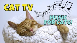 Cat TV: Videos for Cats 😺 1 Hour of Calming Music 🎵 Ep. 22