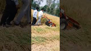 Ripper Cutter #virelvideo #automobile #farming #farming #shortfeed