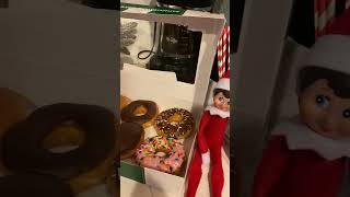 ELF ON THE SHELF | 2022 | BEAN & DAISY | DAY 1