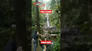 CURUG CILEMBER‼️PUNCAK BOGOR#shorts