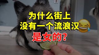 为什么街上没有一个流浪汉是女的？ #今日话题  #每日段子