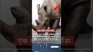 भारत में दिखते हैं ये जानवर 🤔 These animals are seen  Discover the Real omkar 72