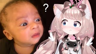 Cat Girl Staring Contest | VTuber Fuwa Reacts to Daily Dose of Internet, UNUSUAL MEMES & CAT MEMES