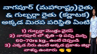 #మిరప రైతులు తో సరదాగా కాసేపు....#నాగపూర్ #గుల్బర్గా  లో ఉంటున్న #ప్రకాశం జిల్లా రైతులు..