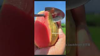 🍓🍒🍏Farm Fresh Ninja Fruit 🍎🍇🍉🍑😍 Eating Fruit yummy Oddly Satisfying Fruit Ninja #2183