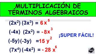 APRENDE A MULTIPLICAR TÉRMINOS ALGEBRAICOS ¡SUPER FÁCIL!