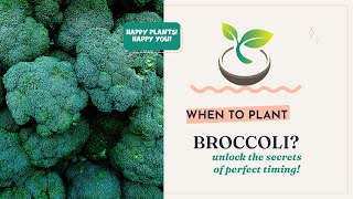 🥦🍀 When to Plant Broccoli? Unlock the Secrets of Perfect Timing!