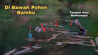 Sarang Ikan..!! Rasakan Sensasi Mancing Di Sungai Liar Tempat Ikan Berkumpul ,Stres Langsung Hilang