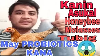 Part 1, PAANO GUMAWA NG SARILING PROBIOTICS SA ALAGANG MANOK