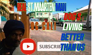 REAL ST.MAARTEN MAN EP.5 OG CALI DOG'S LIVING BETTER THAN US