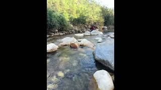 Beautiful River 😍 Heaven 🤩 #waterfall #travel #adventure #uttarakhand