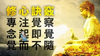 修心訣竅：專注覺察，念起即覺，覺而不隨 。禪修 | 念頭 | 觀照 | 內觀 | 心念 | 三解脫門