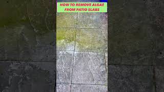 #shorts  How to remove algae from your garden slabs