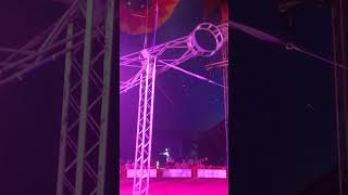 WOW 💖👍🤣 stardust STUNTS  ❤💛💖🧡💜💙💚👌👍🤩, circus stunts 🤩💖💛💚💙, circus Australia #subscribe #shorts