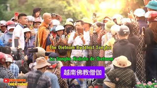 Lê Anh Tú impersonates a Buddhist monk in Vietnam | Spanish subtitles |  Chinese Subtitles