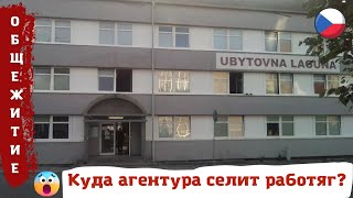 ШОК ОТ ГРЯЗИ! Жилье для работников заводов от украинской агентуры. Ubytovna Laguna (Písek, Czech).