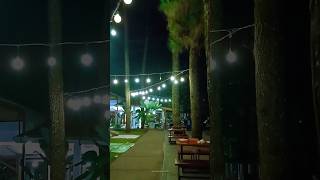 Tempat Ngopi Hits View Pohon Pinus di Bogor #kopidaongbogor #kopidaong #bogorhits #shorts #short