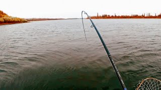 Покорение СИЛЬНОЙ реки. ТАКИМ весом груза я ещё не ловил. Супер рыбалка в Астрахани.