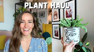 Plants I bought in July | Plant Haul