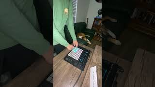 FutureBass 808 Beat Played on LaunchPad | Dog Reacts #dog #puppy #piano #new