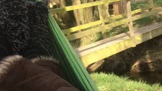 Hammock - Cosy Under Canvas