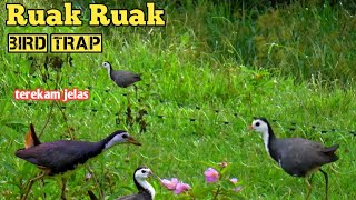 DETIK DETIK RUAK RUAK KENA JERAT