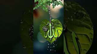 The beautiful name of Allah viral video #viral #video #allahhuakbar