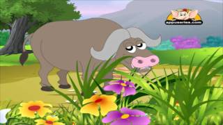 Animal Sounds in Marathi - Buffalo