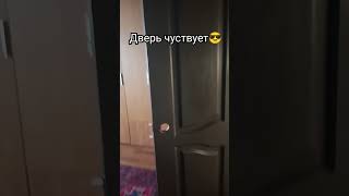 Дверь чуствует