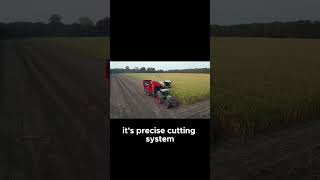 Harvest Corn Day 1 #farming #fruit #automobile