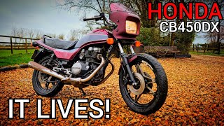 FORGOTTEN ABOUT FOR 16 YEARS, ITS ALIVE!!! HONDA CB450DX CLASSIC BIKE RESTORATION COMPLETED | PART 3