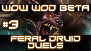 WoW WoD Beta | Feral Druid Duels #3