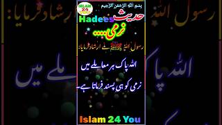 Islamic Video ¦¦ رسول ﷲ ﷺ نے ارشاد فرمایا اللہ پاک ہر معاملے میں نرمی کو ہی پسند فرماتا ہے۔¦ Hadees