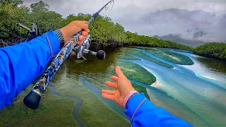 Fishing Hinchinbrook mangroves Barramundi and Mangrove Jack!