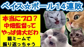 【猫ミーム】2008年のベイス☆ボール14連敗