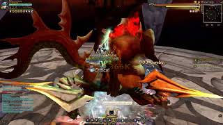 [ Project Hunter ] - Dragon Nest - Gladiator STG 28 Clear - Davion