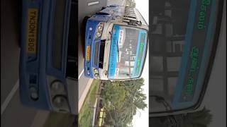 TNSTC VS TNSTC 🔥 BLUE BIRD 😍😍#bus #bussid #bussimulatorindonesia #tnstc #shorts #youtube #travel