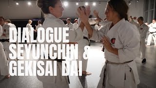 Dialogue applications Seyunchin & Gekisaï daï, L'École martiale, Karaté-do goju-ryu Okinawa